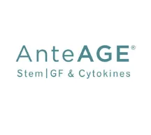 AnteAge Logo